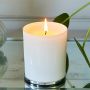 Petitgrain & Jasmine Candle - 220 g