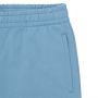 Small Arch Logo Blue Shorts